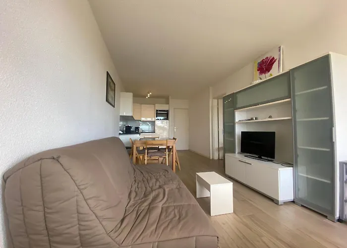 T2 Bis Avec Balcon, Parking Et Wifi A - Fr-1-374-199 דירה